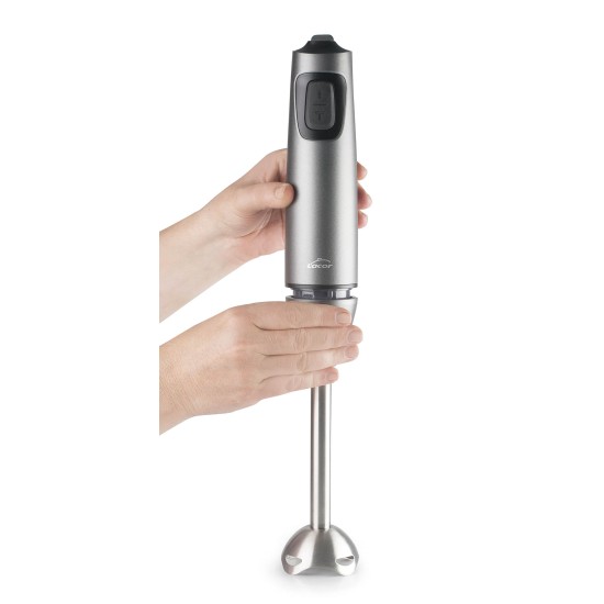 Електрически пасатор с кана, 220-240V, 50/60Hz, 600W, 15.000 r.p.m., 600мл, 8,5 x6,28x39,7см, TitanPro – Lacor