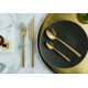 Комплект прибори за хранене от 42 елемента Manille-Gold - Amefa