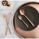 Комплект прибори за хранене от 16 елемента Manille Copper - Amefa
