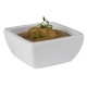 Купа, PET, квадратна, 6,5x6,5см, h3см, 50мл, бяла, стакабъл, FRIENDLY – APS