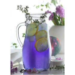 Стъклена кана със сив капак h24,58см 1,8л MIS 180-PK222 - Lav
